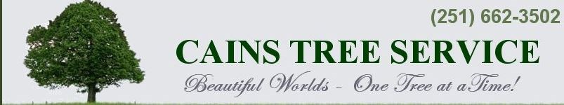 Cain's Tree & Landscape logo
