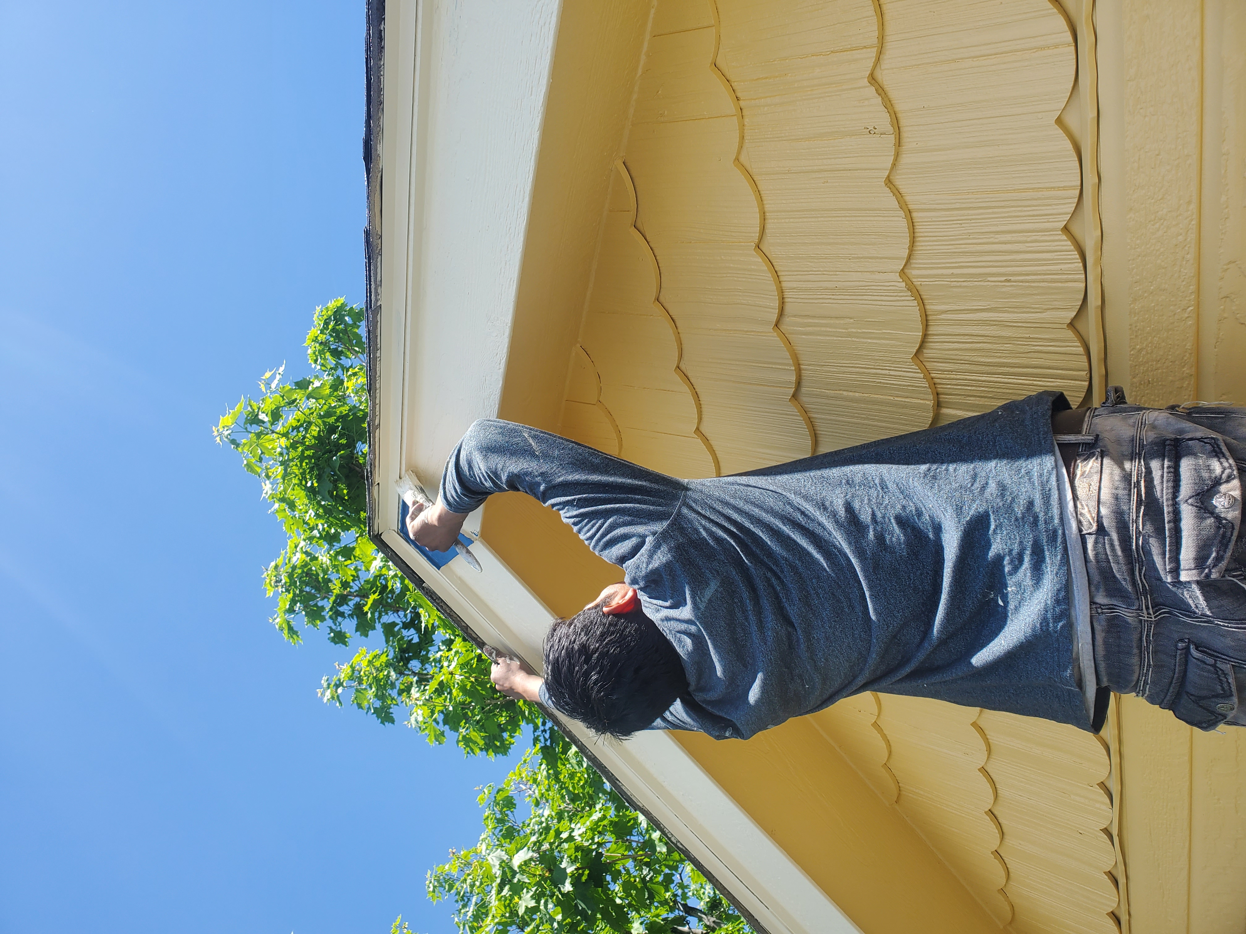 Professional Custom Painting LLC logo