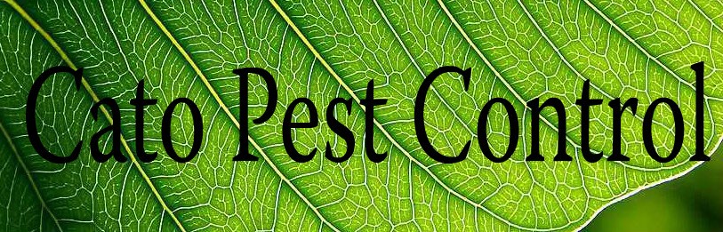 Logo for Cato Termite & Pest Control