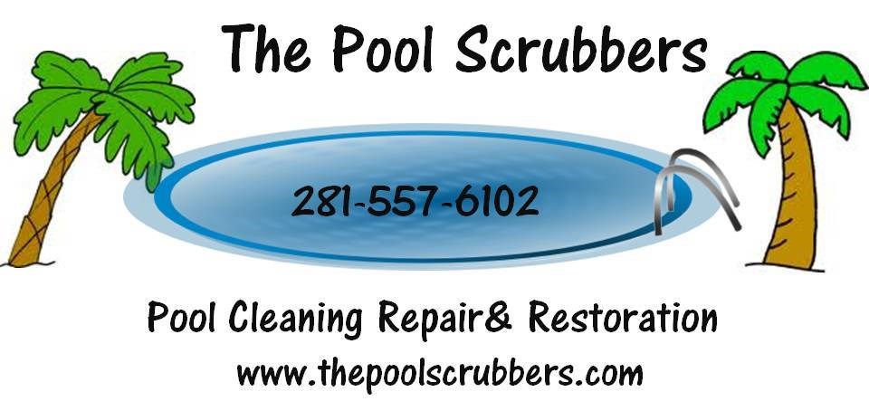 Logo for The Pool Scrubbers LLC
