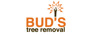 Logo for Buds Tree Removal