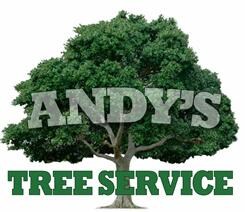 Avatar for Andy's Tree Service