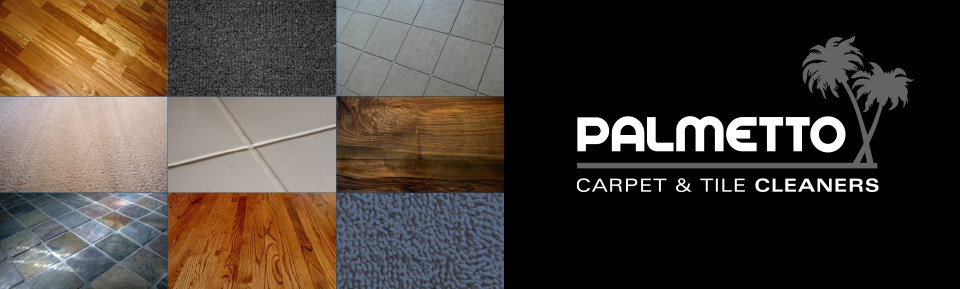 Logo for Palmetto Carpet & Tile Cleaners