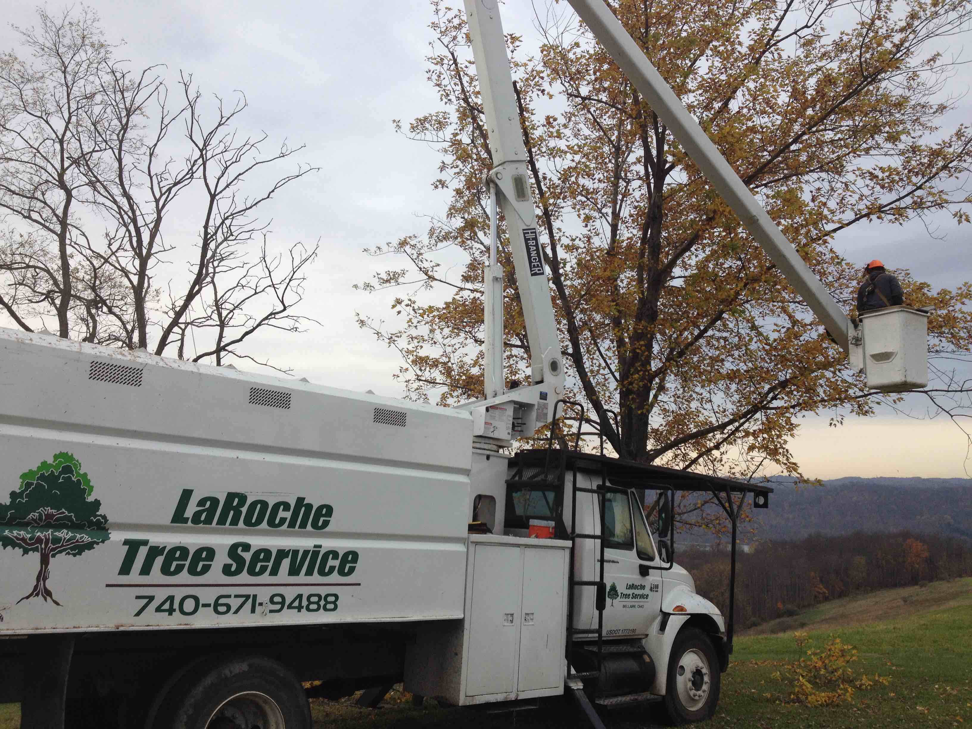 Logo for LaRoche Tree Service