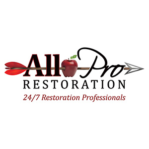 Logo for All Pro Restoration