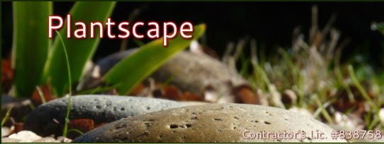 Logo for Plantscape
