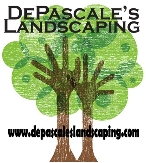 Avatar for DePascale's Landscape Design & Construction