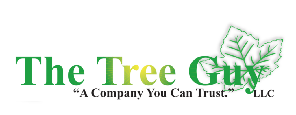 The Tree Guy LLC logo