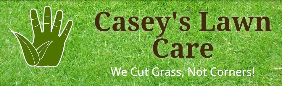Logo for Casey's Lawn & Landscape LLC