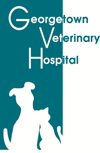 Logo for Georgetown Veterinary Hospital