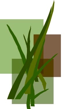 Logo for Green Grass Landscaping Inc