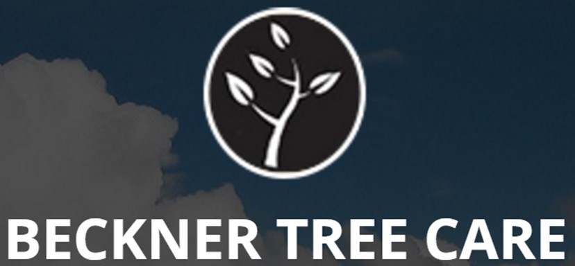 Logo for Beckner Tree Care