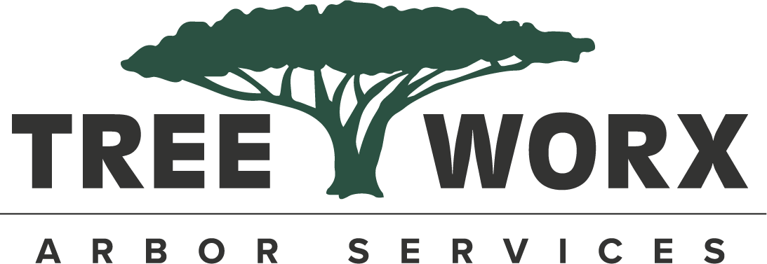 Logo for Tree Worx