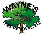 Logo for Wayne's Tree Removal LLC