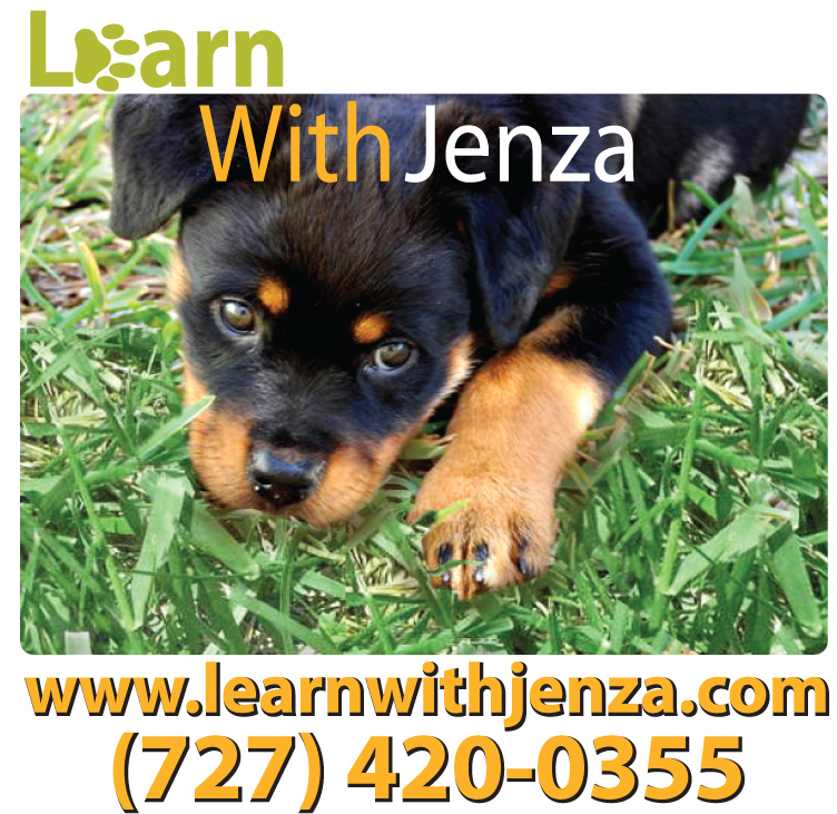 Logo for Learn with Jenza