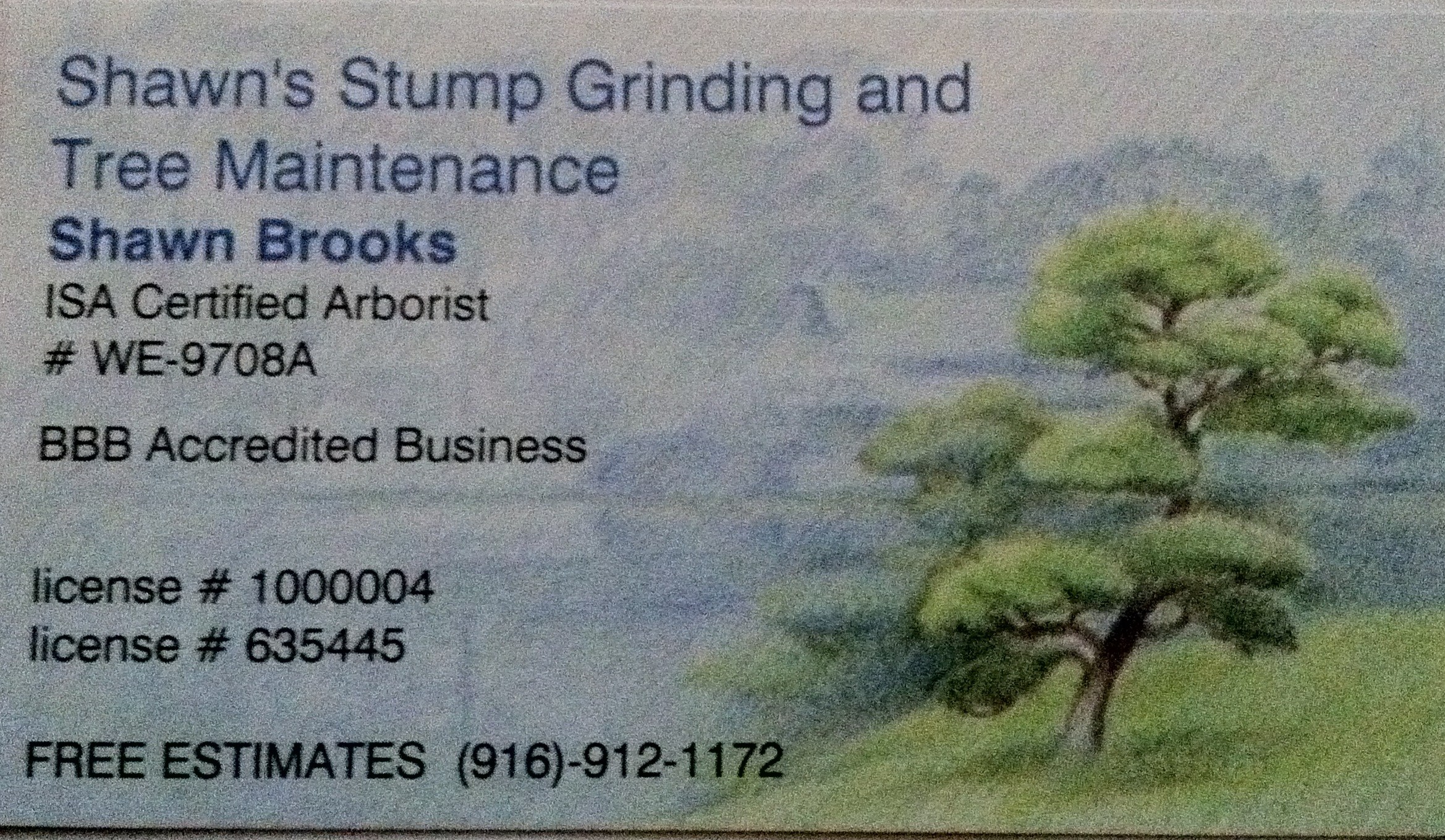 Avatar for Shawn's Stump Grinding & Tree Maintenance