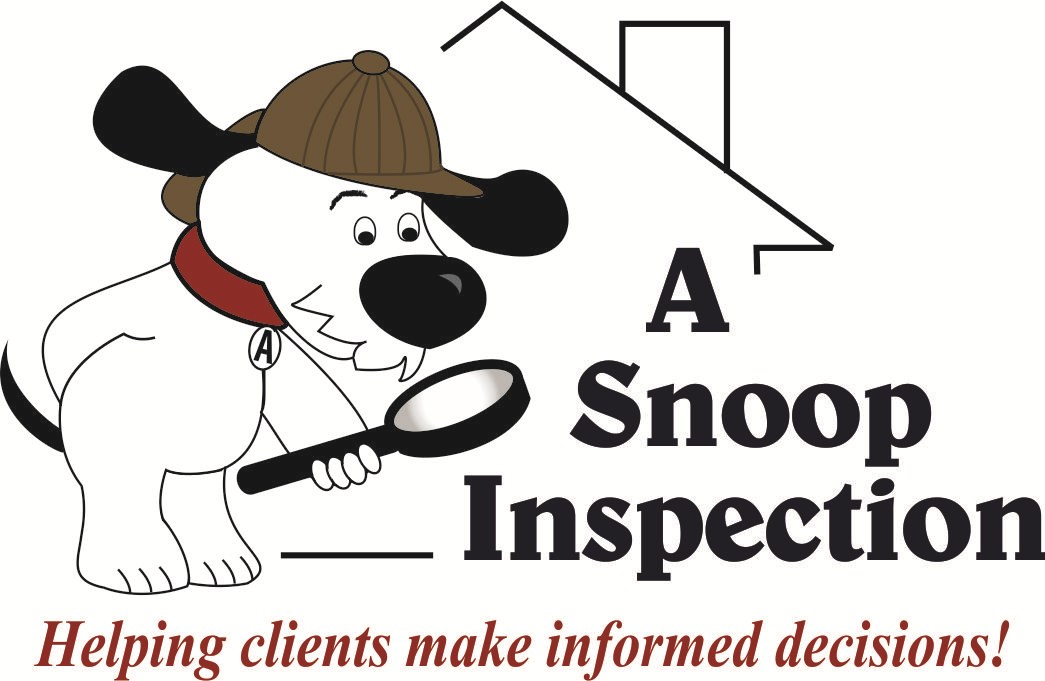 Logo for A Snoop Inspection