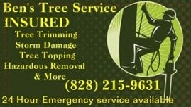 Logo for Ben's Tree Service