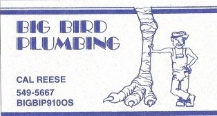 Big Bird Plumbing logo