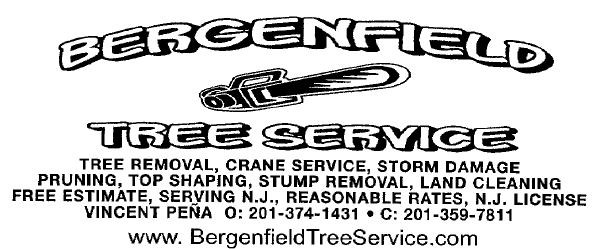 Logo for Bergenfield Tree Services
