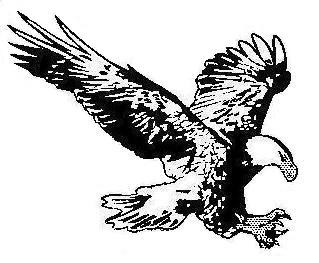 Logo for A Graf & Son LLC