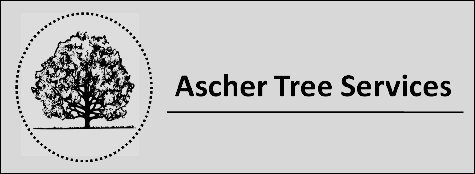 Logo for Ascher Tree Services
