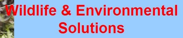 Avatar for A-Wildlife & Environmental LLC