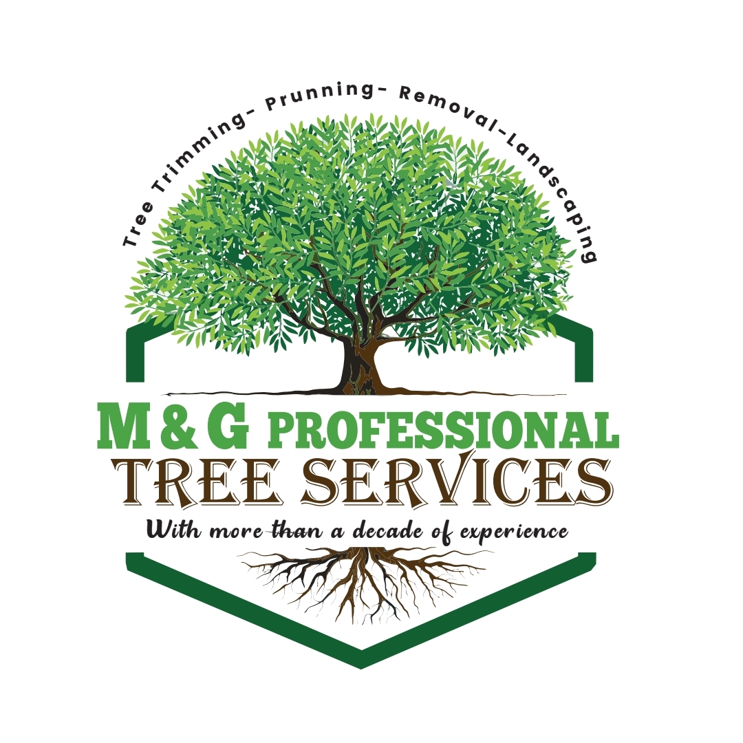 Avatar for M & G Professional Tree Service