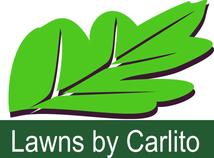 Logo for Lawns by Carlito Inc.