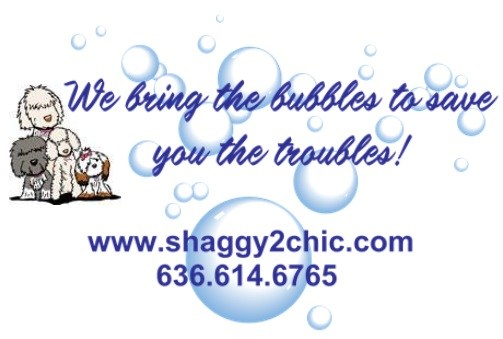 Logo for Shaggy 2 Chic Mobile Pet Grooming Spa