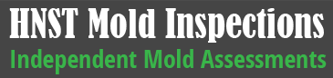 Logo for HNST Mold Inspections