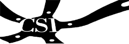 Logo for CSI-Absolute Clean
