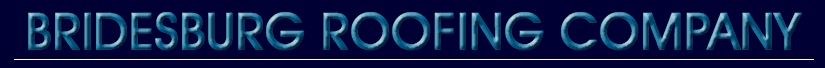 Logo for Bridesburg Roofing Co