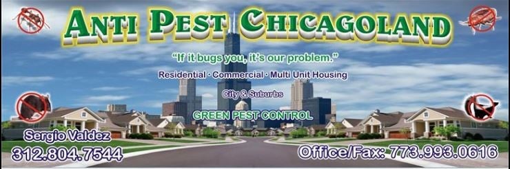 Avatar for Anti Pest Chicagoland