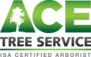 Logo for ACE Tree Service