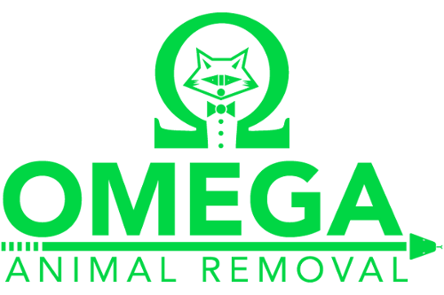 Logo for Omega Animal Removal