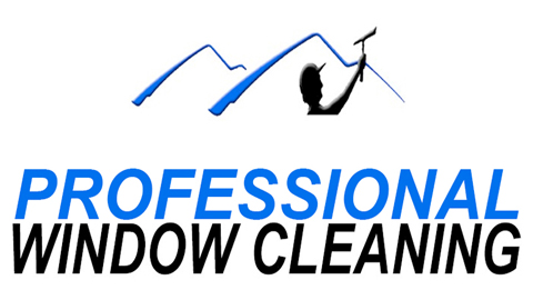 Professional Window Cleaning logo