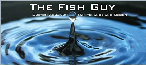 Logo for The Fish Guy LLC