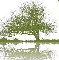 Logo for Porter Tree Services LLC
