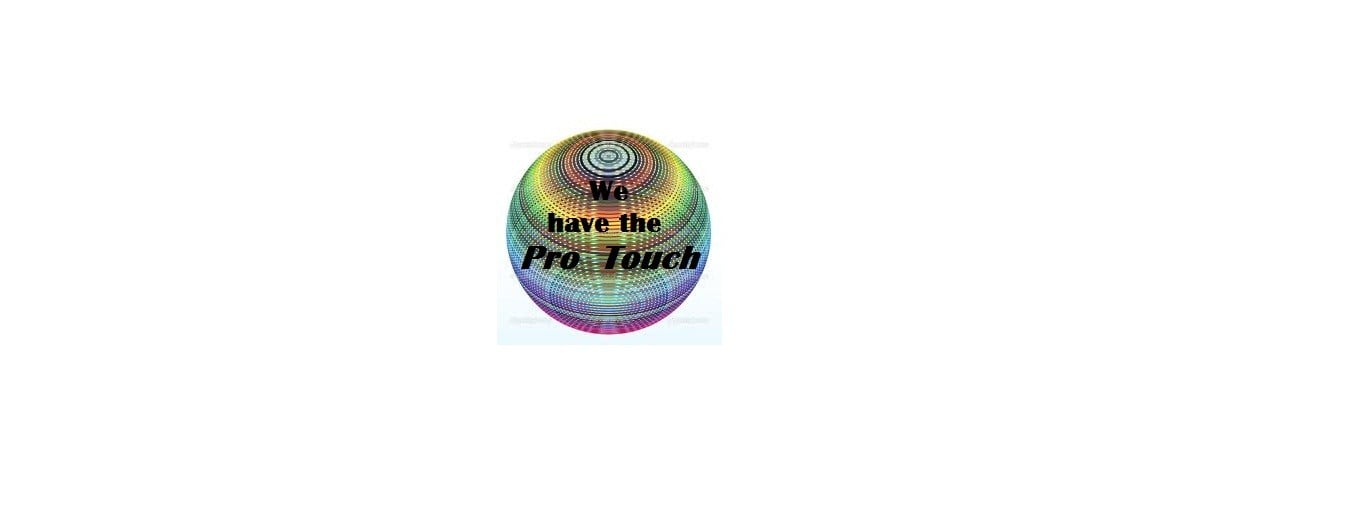 Avatar for Pro Touch Painting L.L.C.