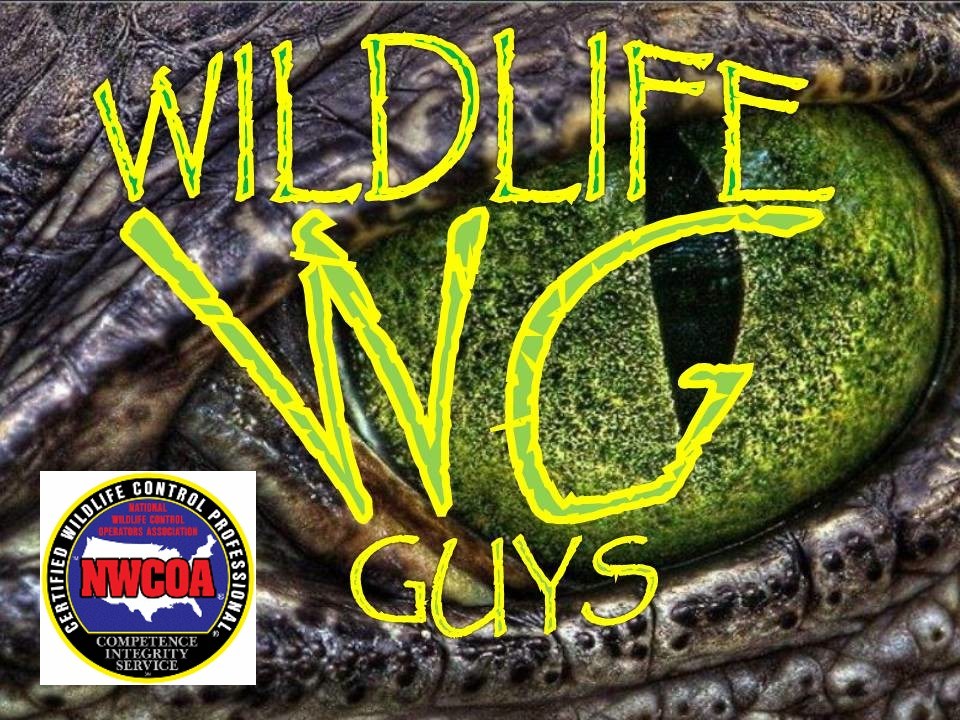Avatar for The Wildlife Guys