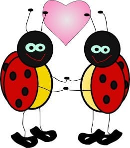 Avatar for Love Bugs Cleaning Service