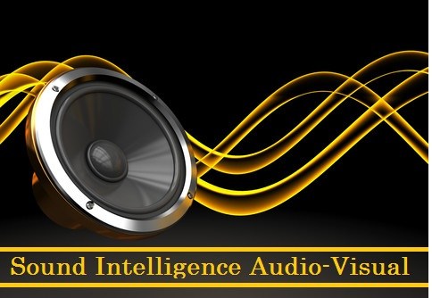 Avatar for Sound Intelligence Audio-Visual