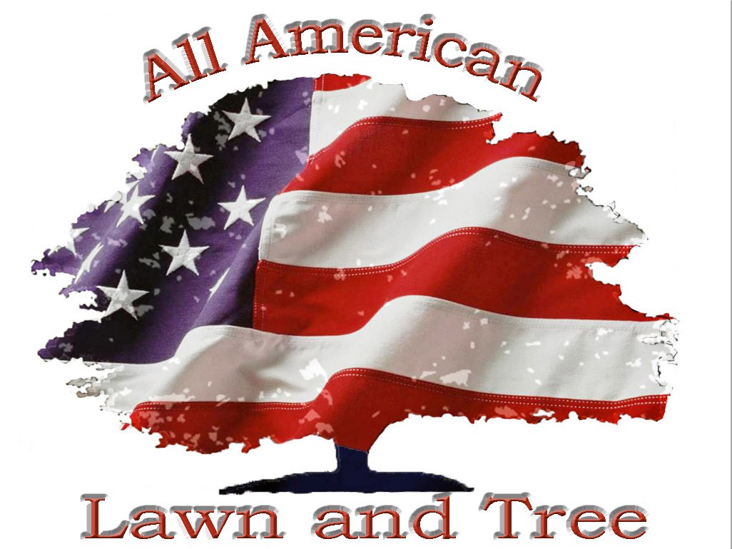 All American Lawn & Tree Service LLC logo