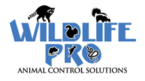Wildlife Pro logo