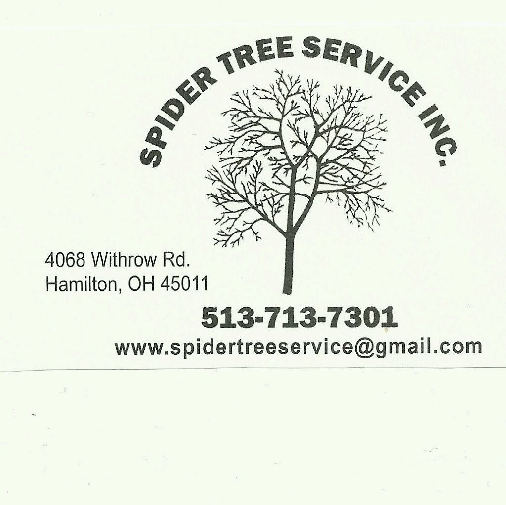 Avatar for Spider Tree Service Inc.