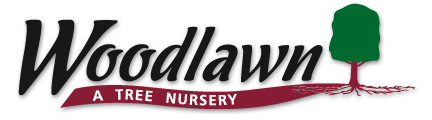 Logo for Woodlawn Tree Nursery