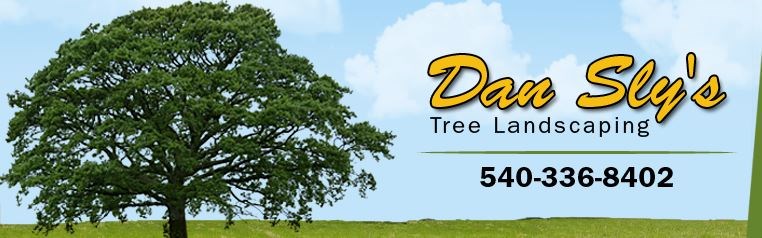 Avatar for Dan Sly's Tree & Landscaping, LLC