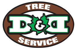 D & D Tree Service Inc logo
