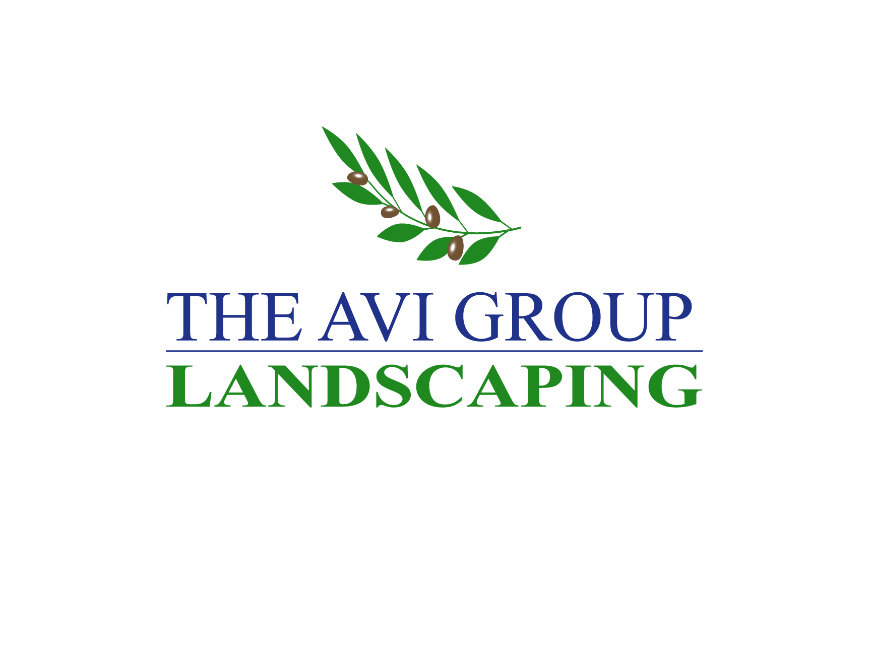 Logo for The Avi Group